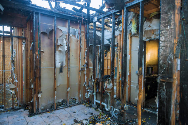 Professional Fire Damage Assessment technician working in Wimauma, FL