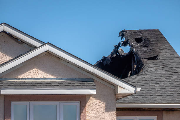 Top rated local Fire Damage Assessment specialists in Wimauma, FL